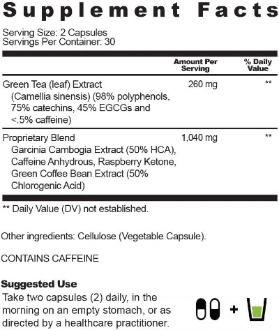 Nobi Nutrition Green Tea Fat Burner Ingredients