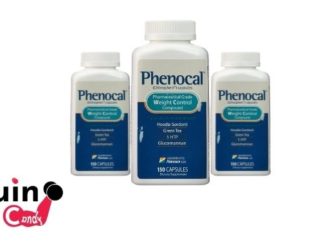 Phenocal Review - Does it Work? Is it Legit?