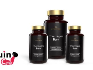 Thermopro Burn Review