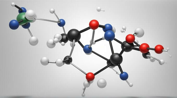 Does D-Aspartic Acid help weight loss?